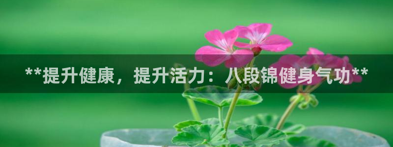 意昂2招商